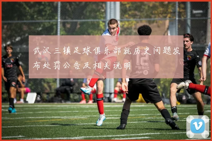 武汉三镇足球俱乐部就历史问题发布处罚公告及相关说明